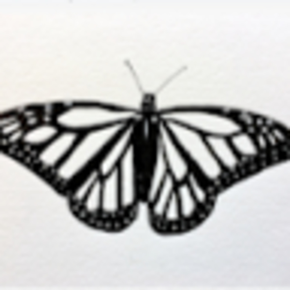 Meet your Posher, Lila